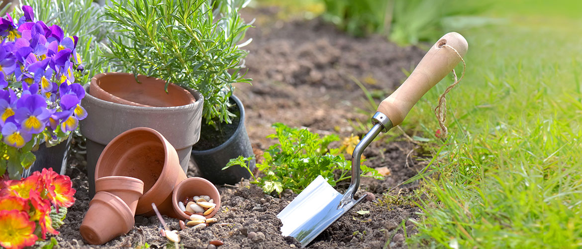 Tips For Using Terracotta Pots For Garden Decor Luxury