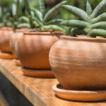 garden-pots-and-planters-manufacturers-in-India