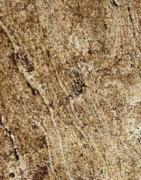 TAN AUTUMN from Stone Laminate Suppliers in Jaipur